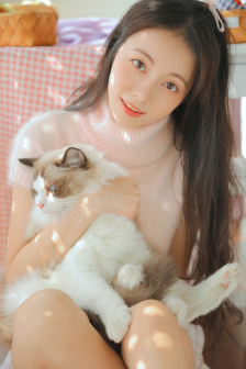 猫咪社区www